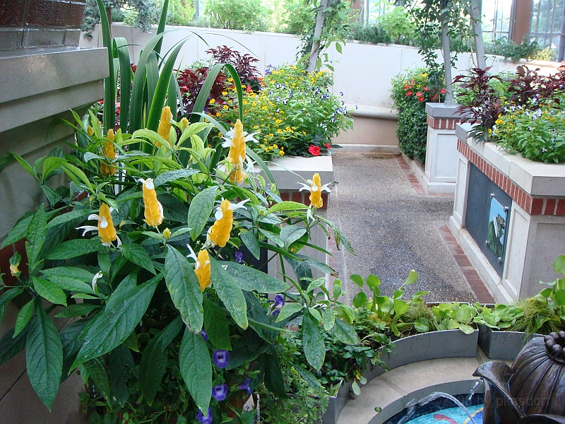 447 Longwood Gardens [2008 August 23].JPG - Longwood Gardens in Pennsylvania